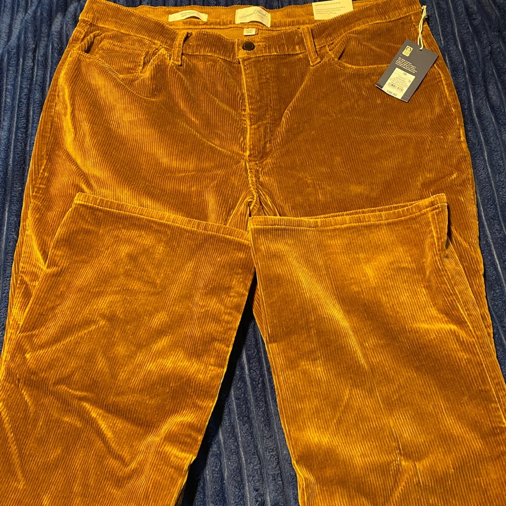 ⭐️ SALE BNWT Size 18 corduroy pants